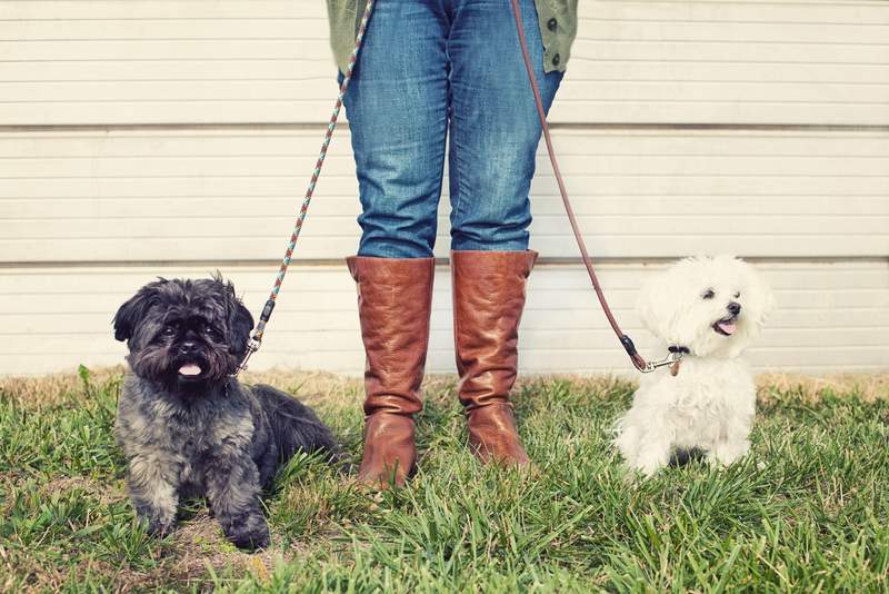 Kelly with the boys, Buster and Parker