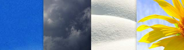 Four Week Decor on a Forecast Series