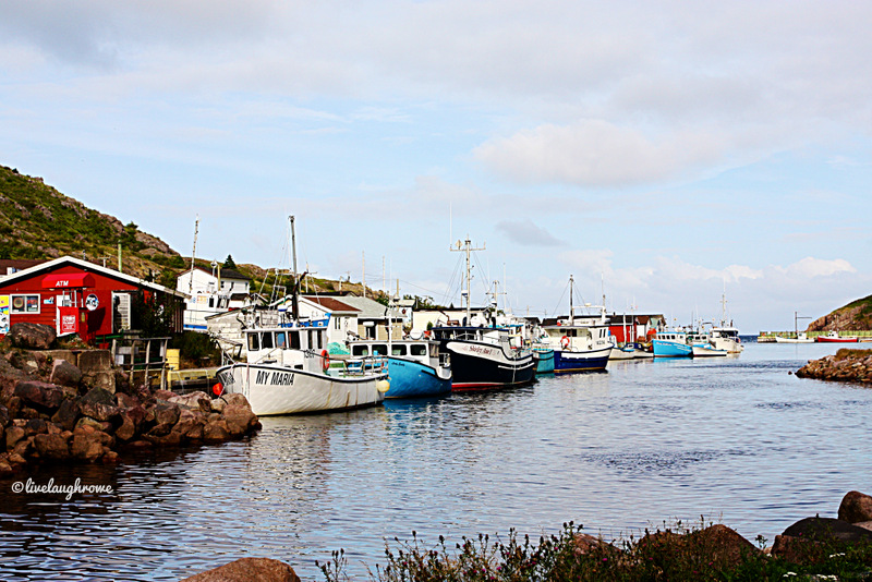 boats at petty harbour