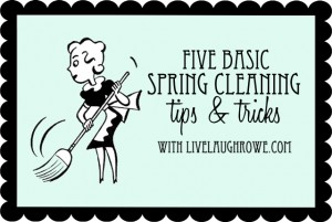 spring cleaning graphic