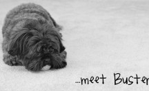 meet buster ii