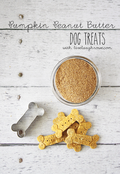 Pumpkin Peanut Butter Dog Treats Live Laugh Rowe